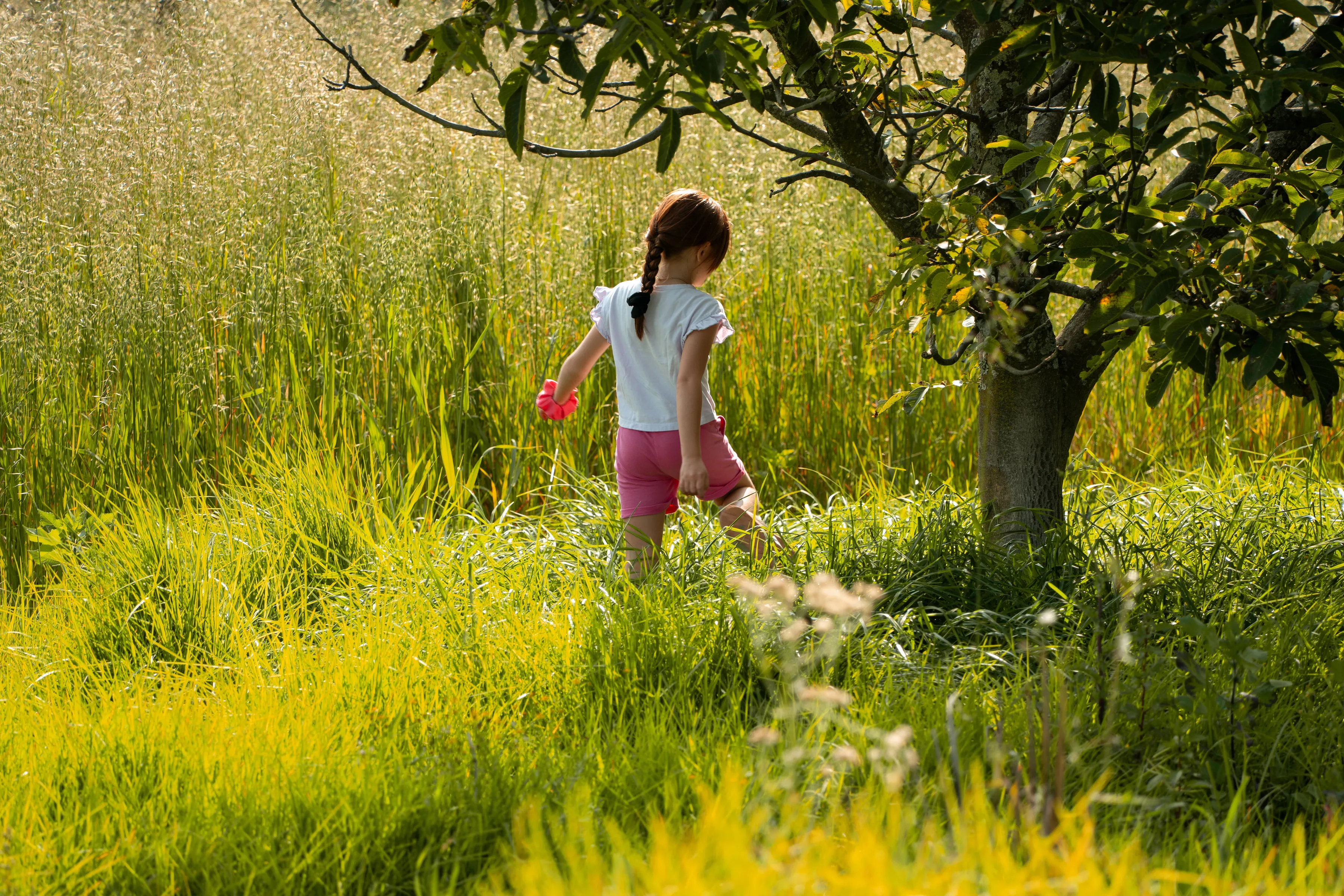 Una niña explora sola entre el pasto alto, junto a un árbol